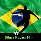 2014 Dünya Kupası Bahisleri
